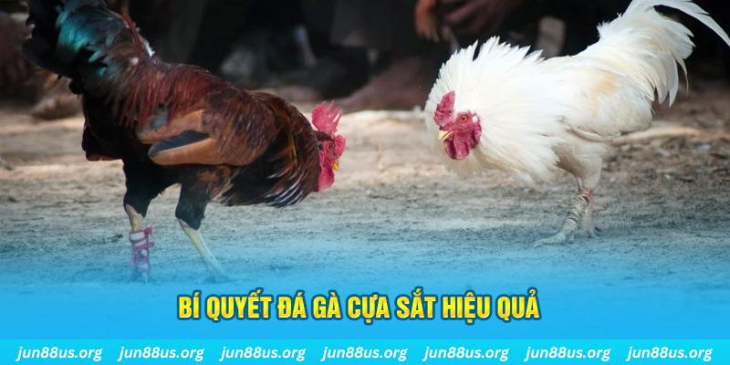 hii88 nổ hũ may mắn