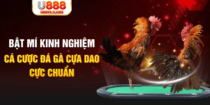 hii88 casino hồ tràm có cho người việt vào không