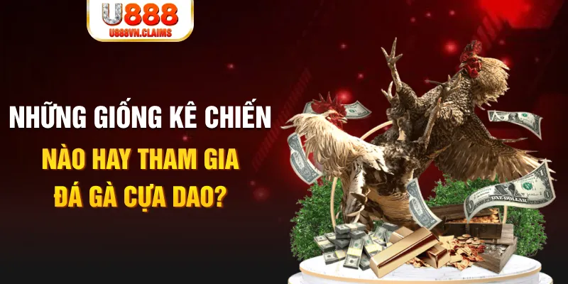 hii88 BG Trực Tuyến