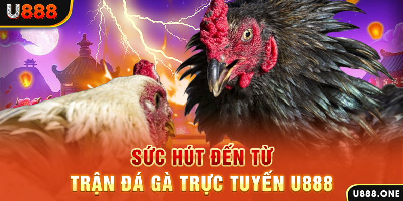hii88 đăng nhập poker 2024