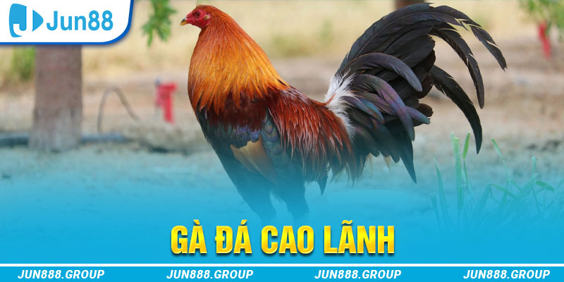 hii88 tai game vua bai ve may tinh