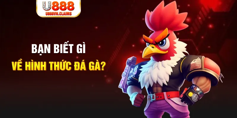 hii88 đăng nhập liêng tặng tiền
