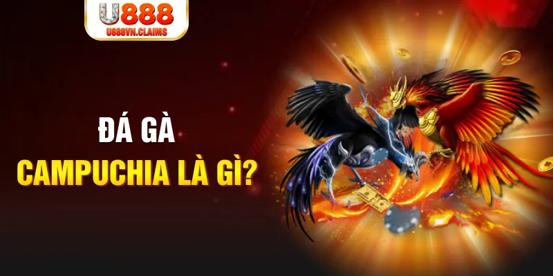 hii88 what is the best online casino for real money