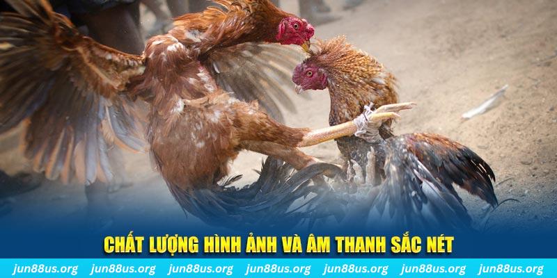 hii88 tai game danh bai mien phi ve may tinh