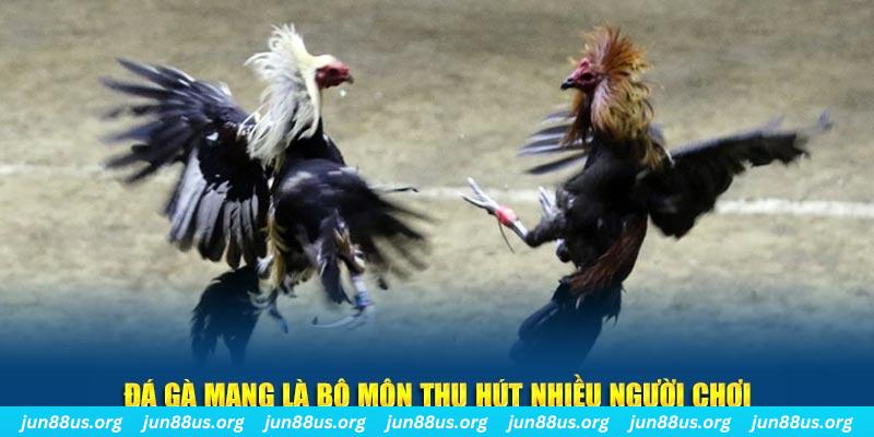 hii88 đăng nhập sòng bạc số 1