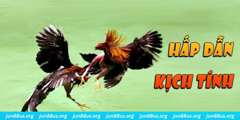 hii88 xổ số miền nam thứ sáu