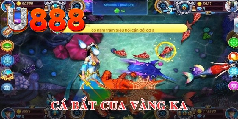 hii88 xo so mien nam