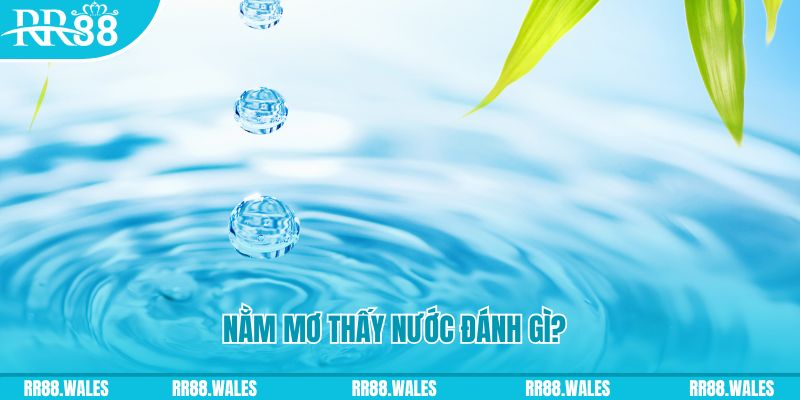 hii88 xổ số trực tiếp miền bắc
