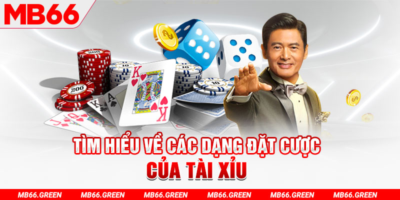hii88 what is a casino loyalty program