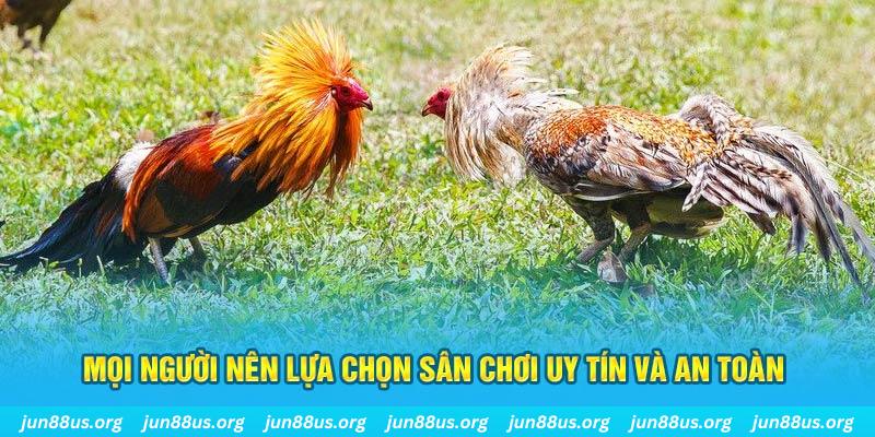 hii88 đăng nhập poker 2025