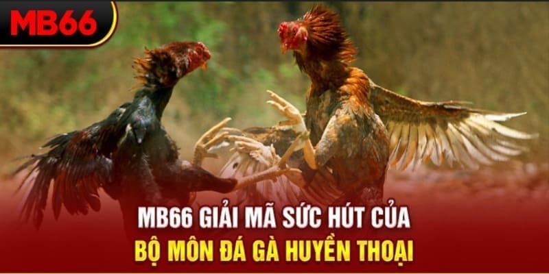 hii88 xổ số đài bắc