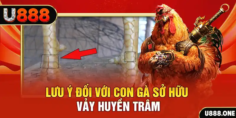 hii88 tải game đánh bài tiến lên miền nam về máy tính