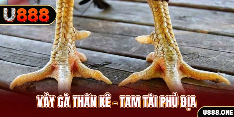 hii88 so xo mien trung