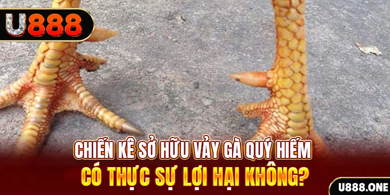 hii88 xổ số miền trung