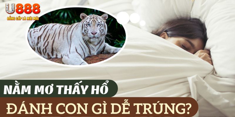 hii88 nohu .mx nổ hủ là gì