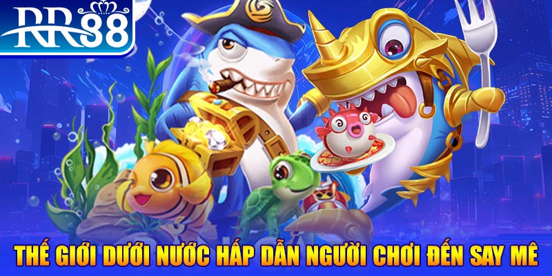 hii88 đăng nhập mậu binh dễ thắng