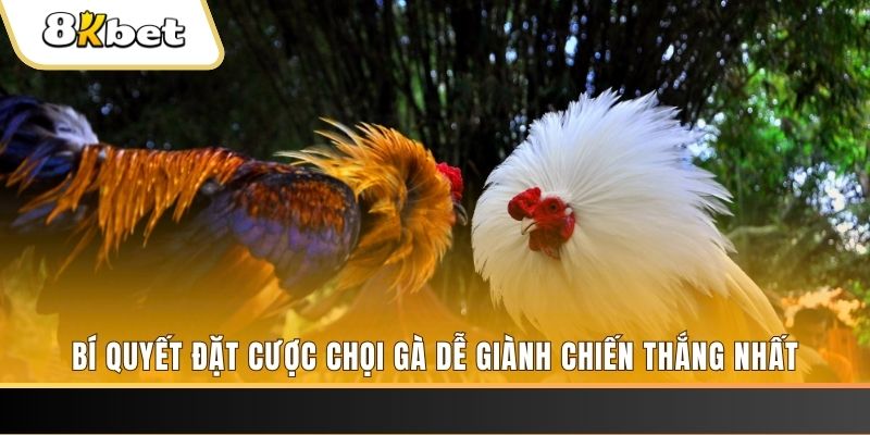 hii88 nổ hũ chơi như thế nào