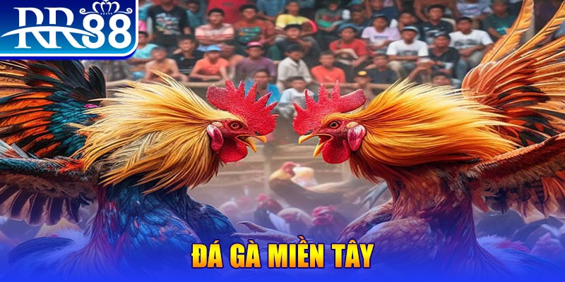 hii88 đăng nhập liêng đổi thưởng