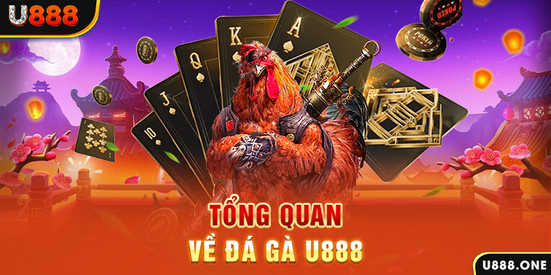 hii88 xổ số vietlott