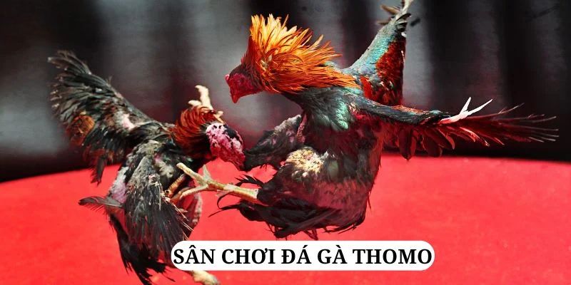 hii88 quay nổ hũ là gì