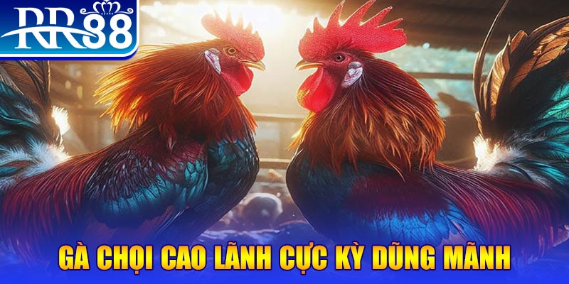 hii88 đăng nhập poker live